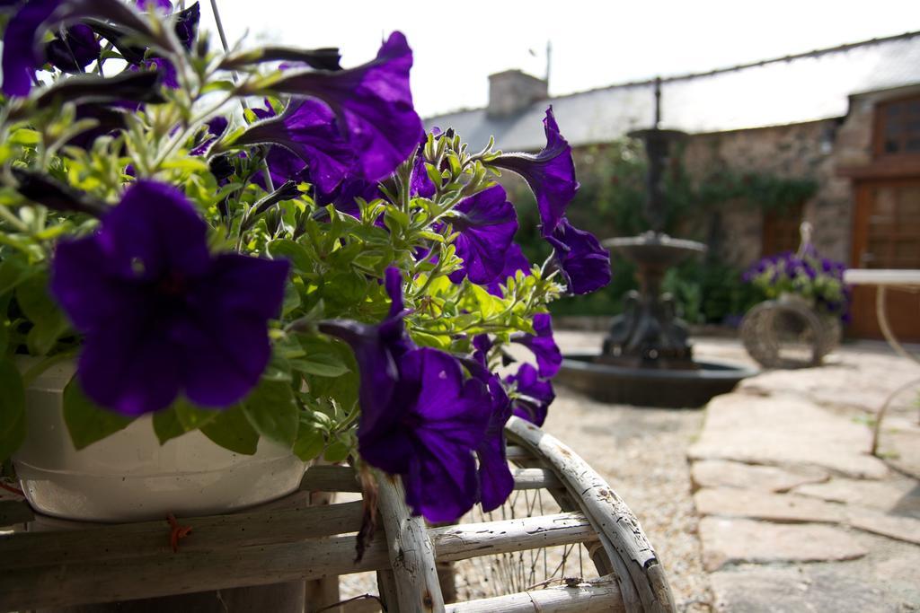 Bed and Breakfast Relais Saint Aubin Erquy Esterno foto